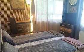 Apartament Bogoslovovi